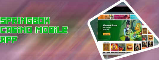 Springbok casino app